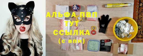 гашик Алексеевка