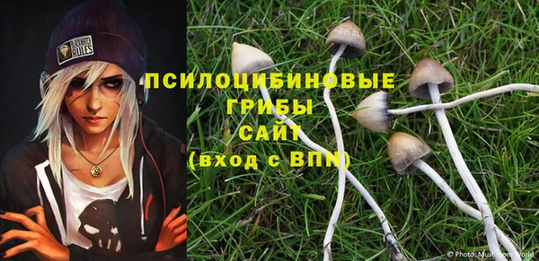 гашик Алексеевка