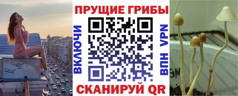 это клад  Тольятти  Галлюциногенные грибы GOLDEN TEACHER 