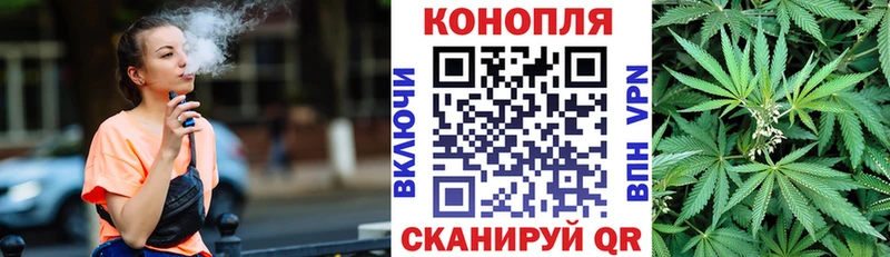 MEGA как войти  Тольятти  Бошки марихуана тримм 